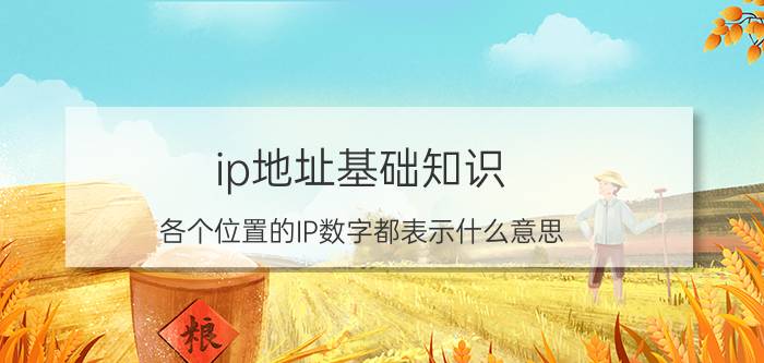 ip地址基础知识 各个位置的IP数字都表示什么意思？